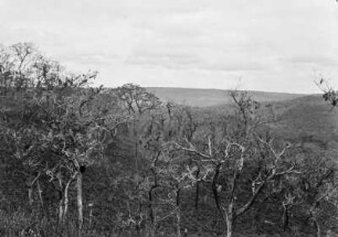 Schichtstufen : Blick auf eine Landschaft, die insbesondere von Schichtstufen (veraltet: Landstufen) geprägt ist.