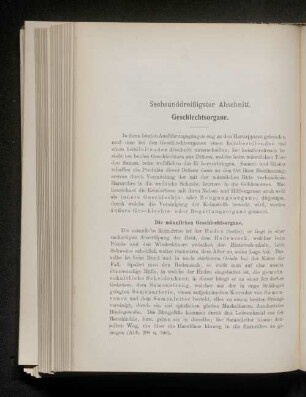 Sechsunddreißigster Abschnitt. Geschlechtsorgane.