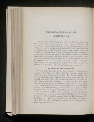 Sechsunddreißigster Abschnitt. Geschlechtsorgane.