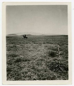 Hermon v. golan