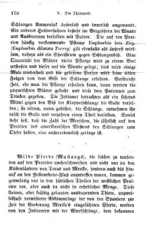 Die wilden Pferde (Mustangs).