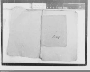 . Berichte der nassauischen Gesandten Franz Melchior und J. H. Saur vom Reichstag zu Regensburg: Band 7