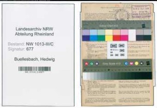 Entnazifizierung Hedwig Buellesbach , geb. 04.07.1897 (Haendlerin)