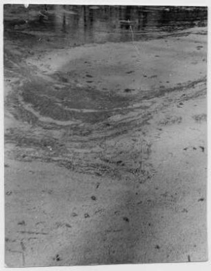 Spuren im Sand