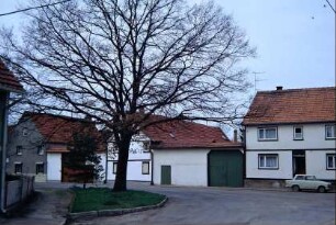 Dorfplatz mit Bauerngehöften und kahlem Baum auf Grünfläche