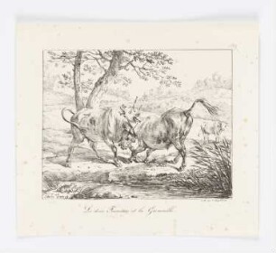 Les deux Taureaux et la Grenouille, Blatt 39 der Folge "La Fontaines Fabeln"