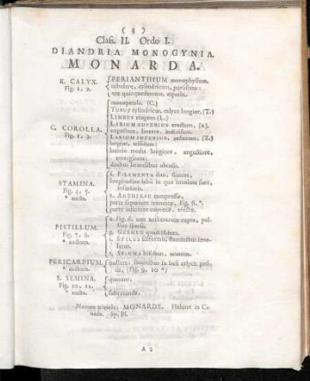 Class. II. (Diandria)