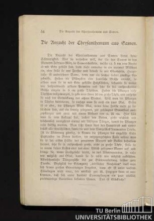 21. Die Anzucht der Chrysanthemum aus Samen.