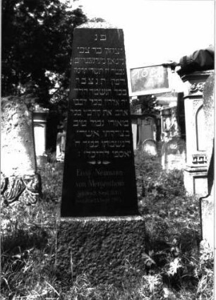 Grabstein 1081 (Index: 100104125) Material: schwarzer Granit Zustand: gut erhalten Maße HxBxT: 170x38x26 cm Beschreibung: Obelisk: Grabstein 1081