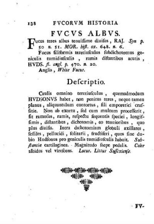 Fucus albus.