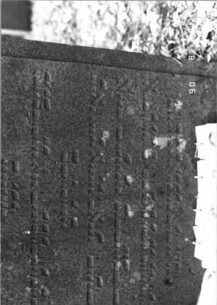 Grabstein 522 (Index: 99791076) Maße HxBxT: 117x70x15 cm Symbolik: Weinranke und -traube: Grabstein 522C