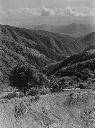 Berglandschaft : Blick in ein langgestrecktes Tal in einer bergigen Landschaft