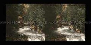 Blick in die Rothweiner-Klamm, Vintgar-Klamm, bei Veldes