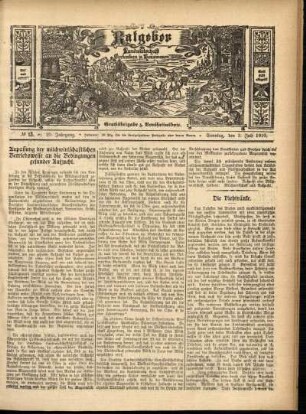 Ausgabe vom Sonntag, den 03. Juli 1910.
