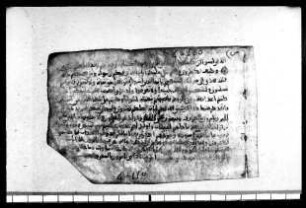 al- Qurʾān [DAM 12-12.2]