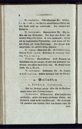 4. Mollusken.