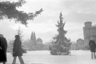 Botanischer Garten. Winterstimmung