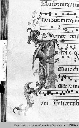 Buchseite mit Text, Neumen und historisierter Initiale I, darin Fabelwesen - Corale