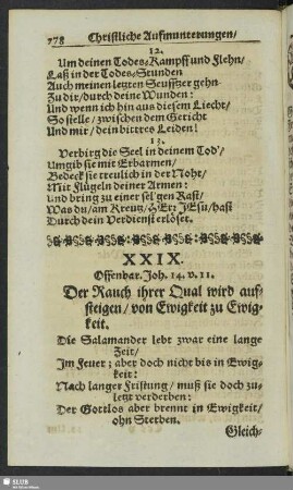 XXIX. Offenbar. Joh. 14. v. 11. Der Rauch ihrer Qual wird aufsteigen, von Ewigkeit zu Ewigkeit