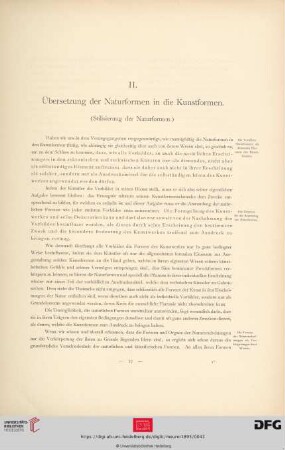 II. Übersetzung der Naturformen in die Kunstformen