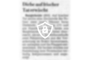Diebe auf frischer Tat erwischt