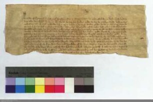 Philipp von Bickenbach, Deutschmeister, hat die 1800 Gulden, die er zu Speyer von dem alten Meister Wolfram von Nellenburg, als Schulden übernomme...