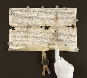 1596 Apr. 19. Landverkauf bei Hörstmar.