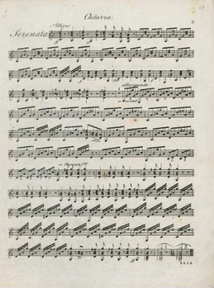 Chitarra