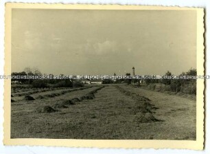 Gemähte Wiese, im Hintergrund Panorama von Vilsbiburg