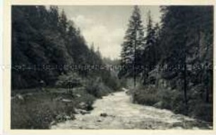 Ansicht einer Flusslandschaft im Gottleubatal (Erzgebirge)