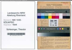 Entnazifizierung Theodor Schlesinger , geb. 02.09.1897 (Arbeiter)