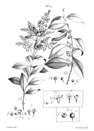 Tab 29