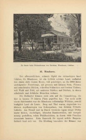16. Minahassa