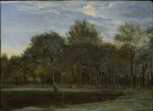 Lichtung im Wald mit äsenden Rehen