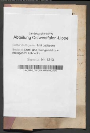 Erblasser: Pohlmann, Charlotte Wilhelmine Louise, geb. Schmidt; Erblasser: Siebe, Friedrich Wilhelm: Abschluss eines Erbvertrags