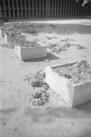 Zerstörung der Blumenkübel auf dem Festplatz vor der Schwarzwaldhalle.