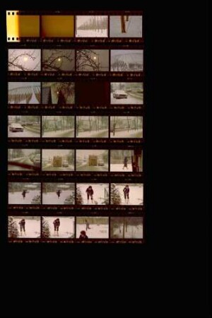 Landesschau-Bilder