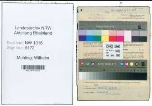 Entnazifizierung Wilhelm Mahling , geb. 21.03.1886 (Lehrer)