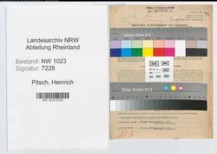 Entnazifizierung Heinrich Pitsch , geb. 17.12.1893 (Oberinspektor)