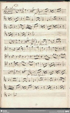 No. 5 Aria: Se un core annodi