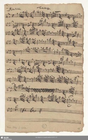 Traverso. [transp.]