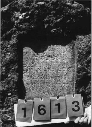 Grabstein 1613 [Hahn S. 132 Grab-Nr. 2243]: Grabstein 1613 (Detailaufnahme) [Hahn S. 132 Grab-Nr. 2243]
