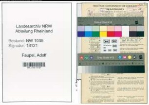 Entnazifizierung Adolf Faupel , geb. 28.12.1908 (Schlosser)