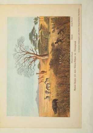 Massai-Steppe mit dem Kilima-Ndjaro im Hintergrund