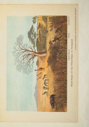 Massai-Steppe mit dem Kilima-Ndjaro im Hintergrund