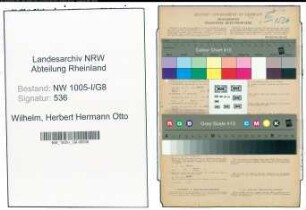 Entnazifizierung Herbert Hermann Otto Wilhelm , geb. 19.03.1913 (Reichsbahnrat)