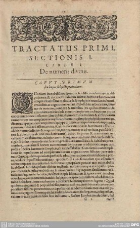 Liber I. De numeris divinis.
