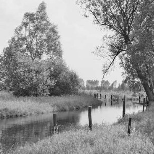 Landschaftsbild. Trotzkefließ in Leipe. : Wobraz krajiny. Groble w Lipjem.