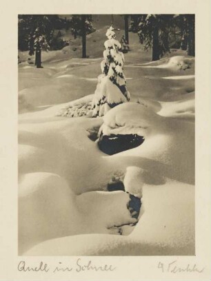 Winterlandschaft. Eine Quelle im Tiefschnee
