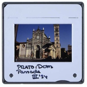 Prato, Dom